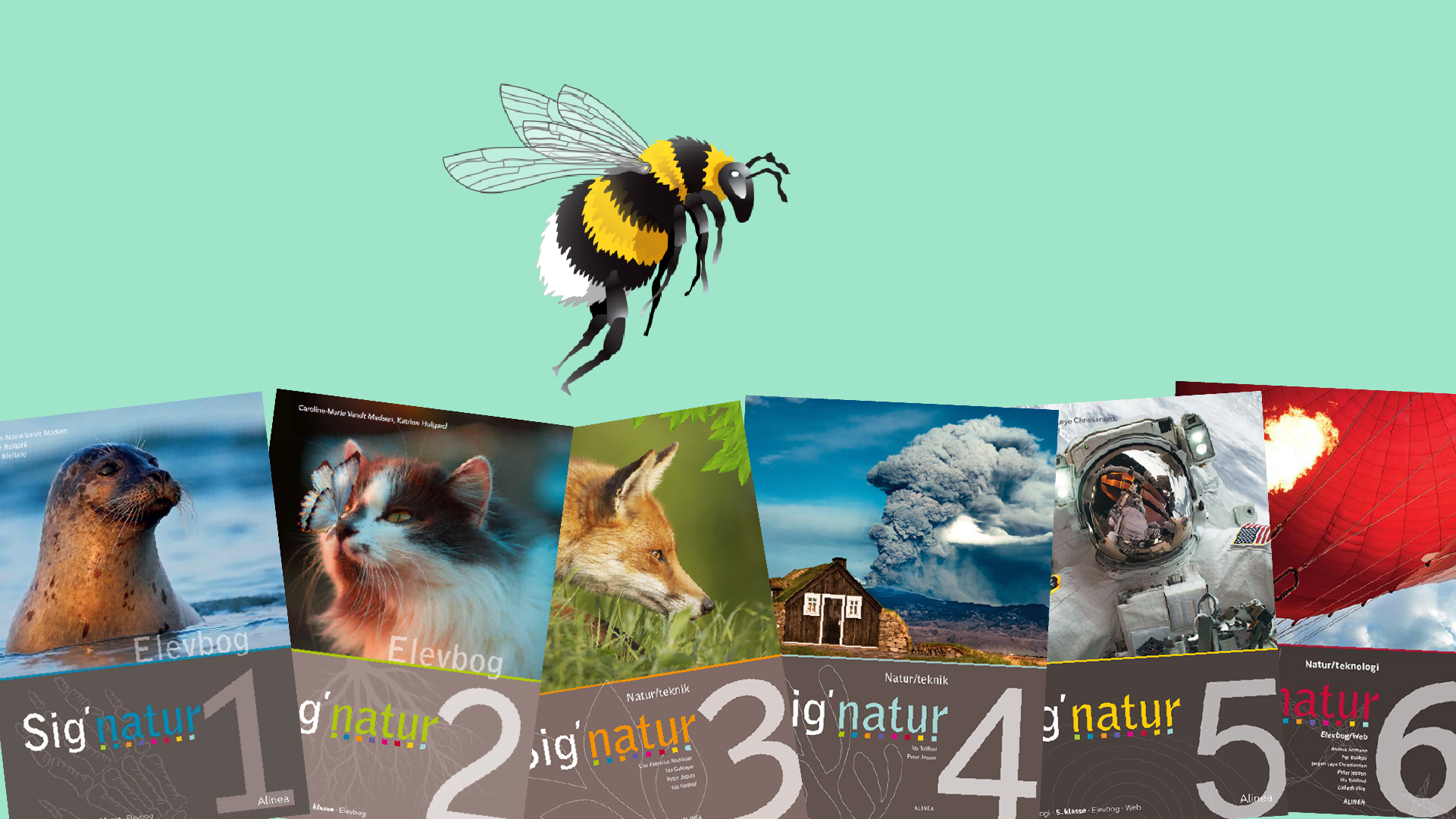 Grundsystemer, grafik