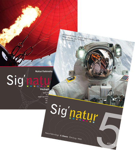 Signatur mellemtrin gennemsynspakke